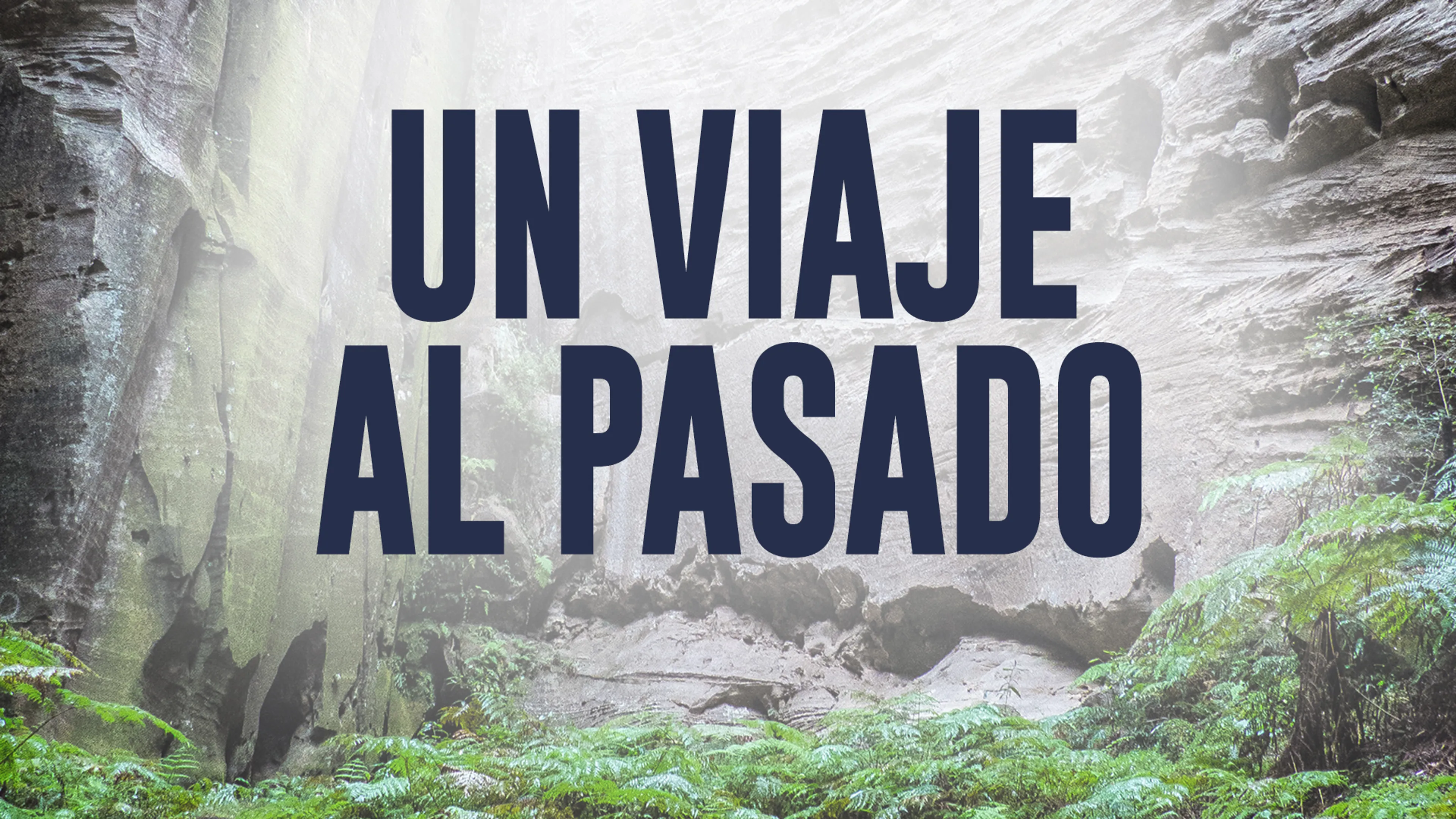 Un Viaje al Pasado poster